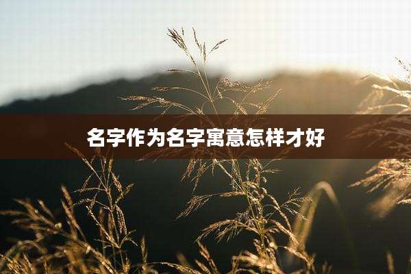 名字作为名字寓意怎样才好