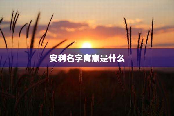 安利名字寓意是什么