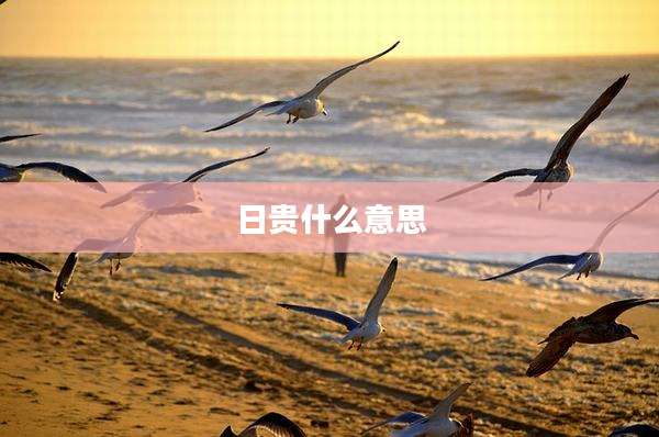 日贵什么意思