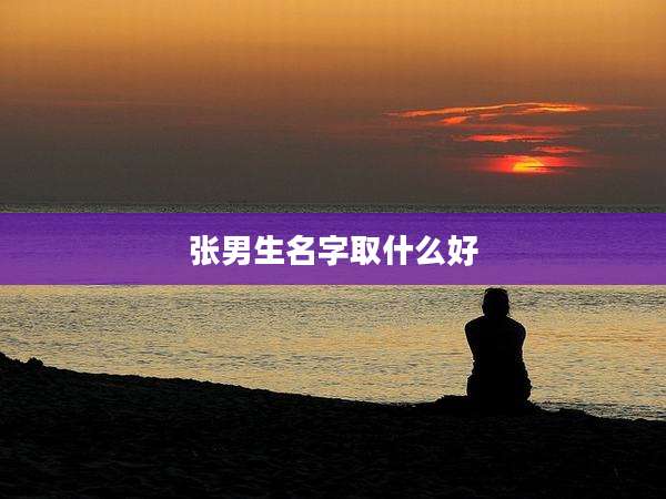 张男生名字取什么好