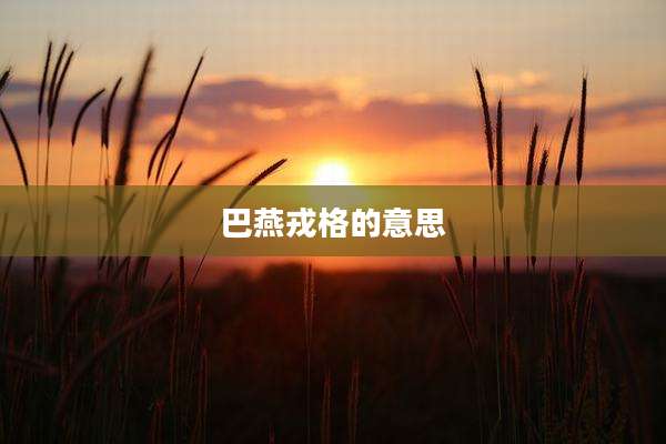 巴燕戎格的意思