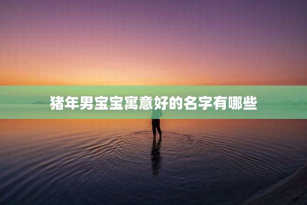 猪年男宝宝寓意好的名字有哪些