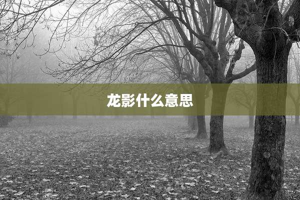 龙影什么意思