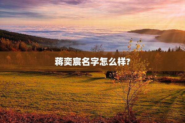 蒋奕宸名字怎么样?