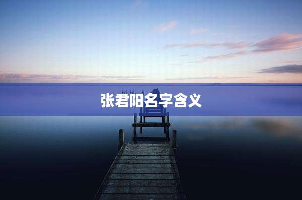 张君阳名字含义