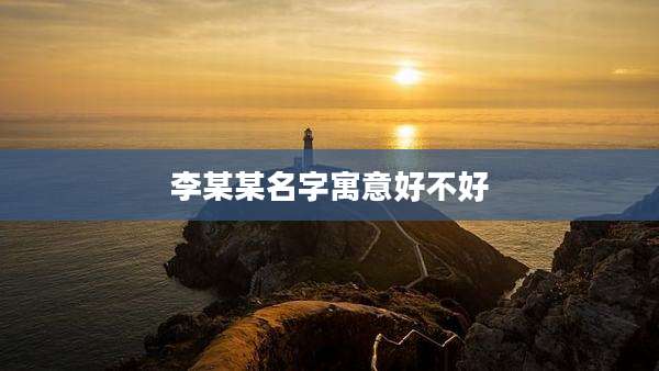 李某某名字寓意好不好