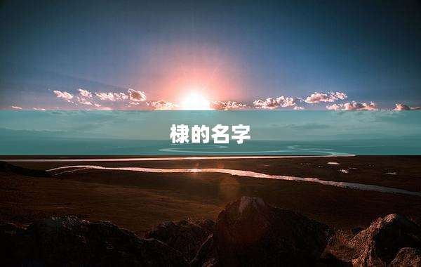 棣的名字