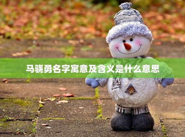 马骁勇名字寓意及含义是什么意思