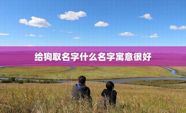 给狗取名字什么名字寓意很好