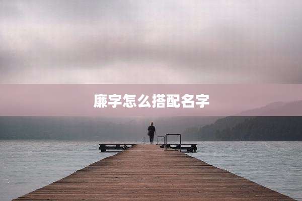 廉字怎么搭配名字