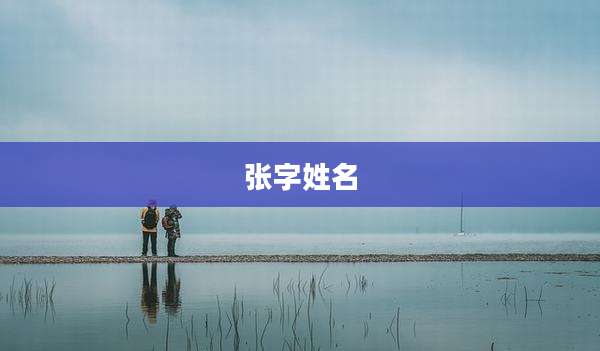 张字姓名