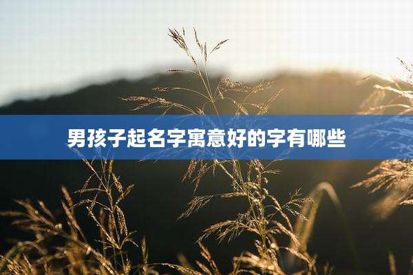 男孩子起名字寓意好的字有哪些