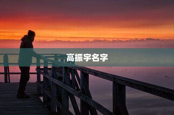 高振宇名字