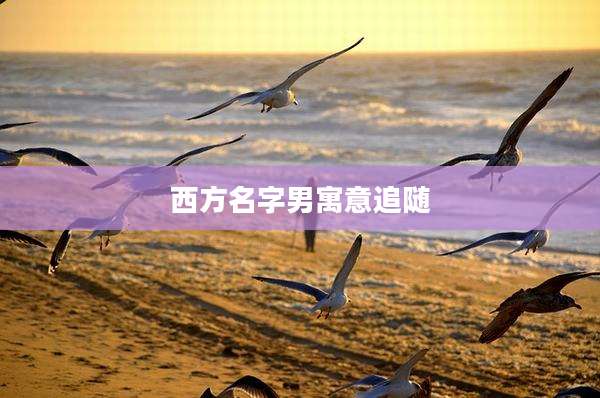 西方名字男寓意追随