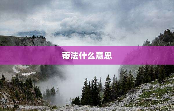 蒂法什么意思