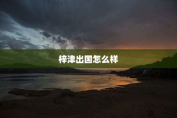 梓津出国怎么样