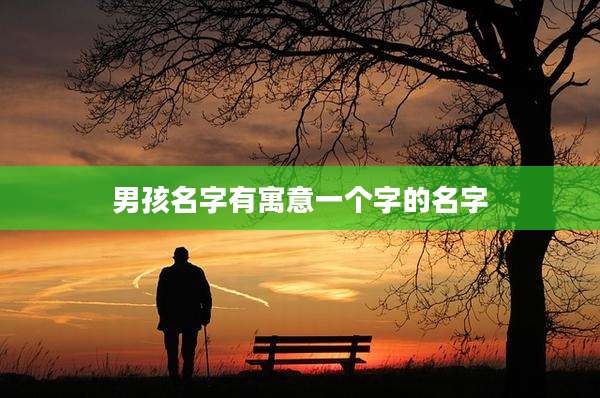 男孩名字有寓意一个字的名字