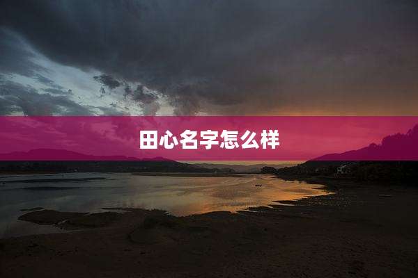 田心名字怎么样