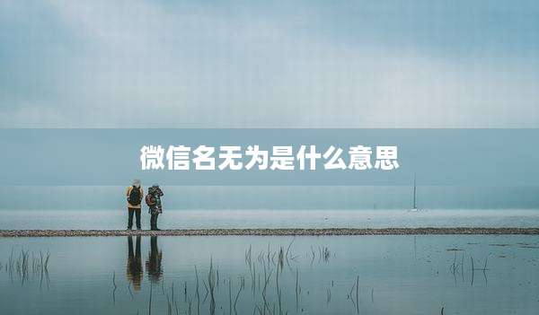 微信名无为是什么意思