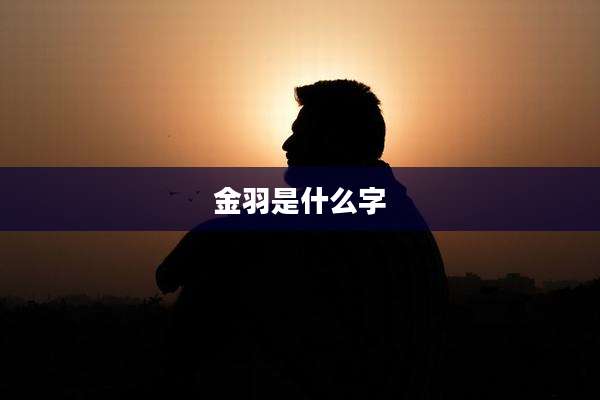 金羽是什么字