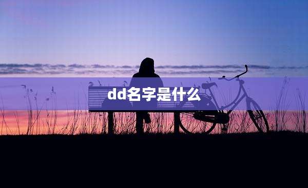 dd名字是什么