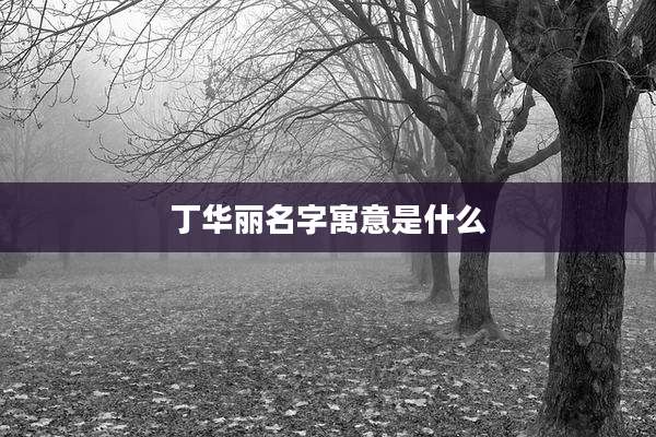 丁华丽名字寓意是什么