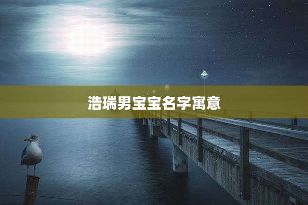 浩瑞男宝宝名字寓意