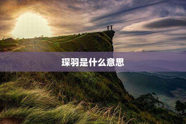 琛羽是什么意思