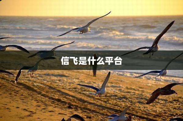 信飞是什么平台