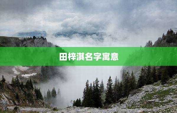 田梓淇名字寓意