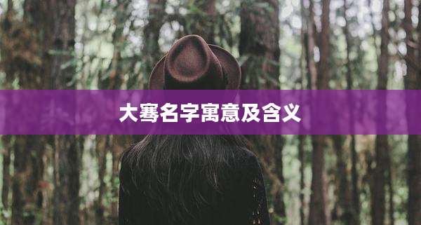 大骞名字寓意及含义