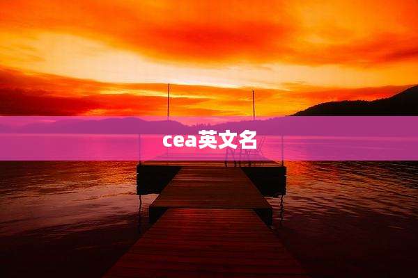 cea英文名