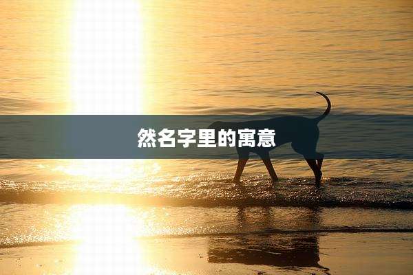 然名字里的寓意