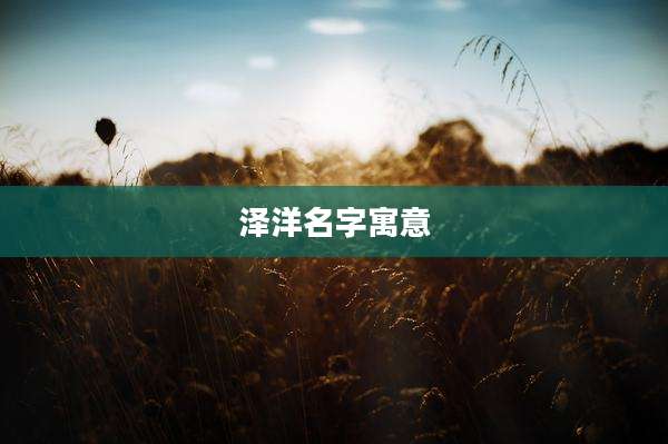 泽洋名字寓意