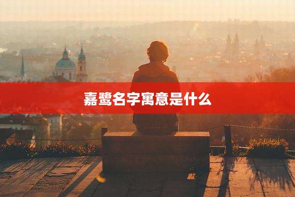 嘉鹭名字寓意是什么