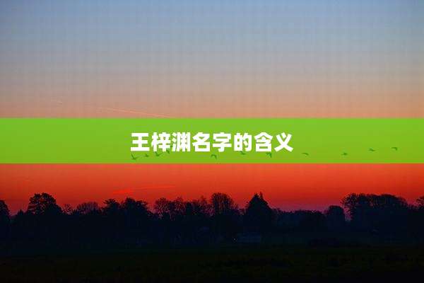 王梓渊名字的含义