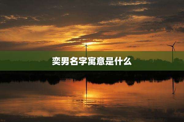 奕男名字寓意是什么