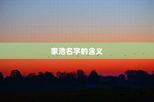 家浩名字的含义