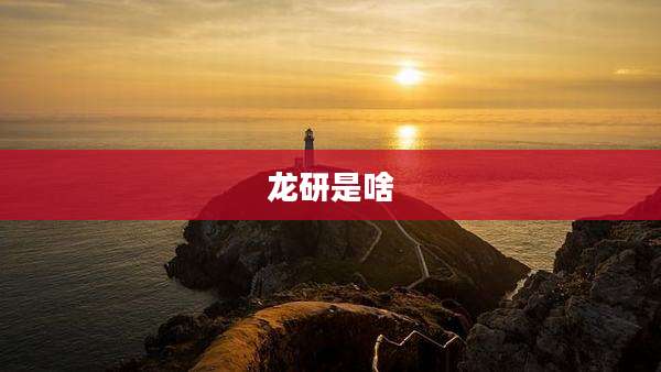 龙研是啥