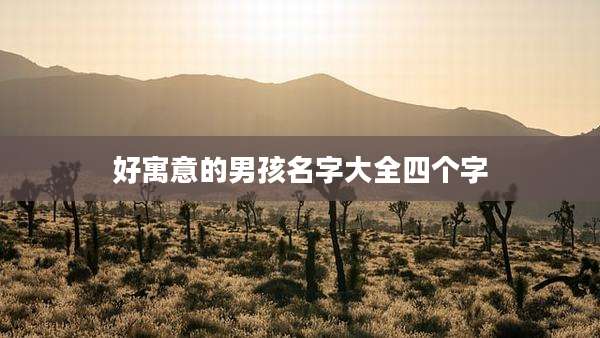 好寓意的男孩名字大全四个字