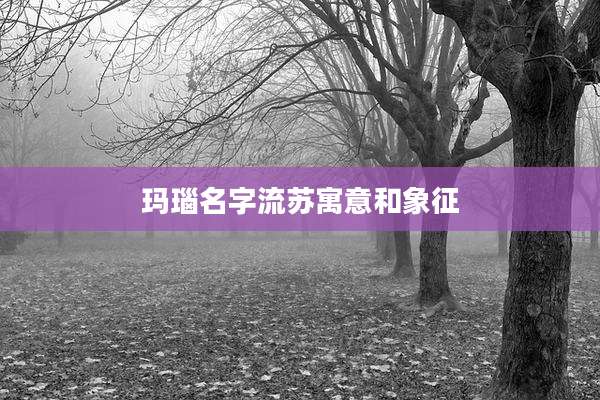 玛瑙名字流苏寓意和象征