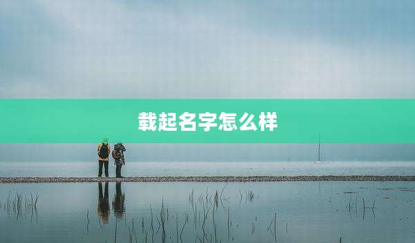 载起名字怎么样