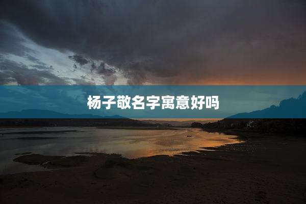杨子敬名字寓意好吗