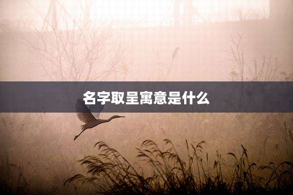 名字取呈寓意是什么