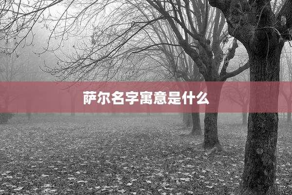 萨尔名字寓意是什么