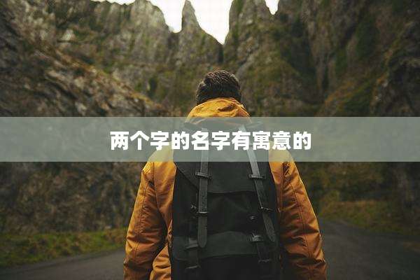 两个字的名字有寓意的