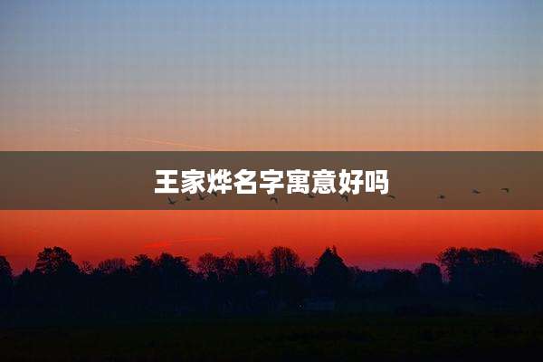 王家烨名字寓意好吗