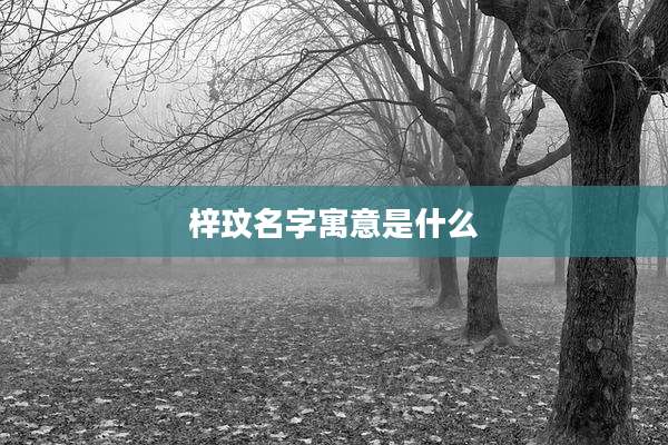 梓玟名字寓意是什么