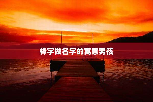 桦字做名字的寓意男孩