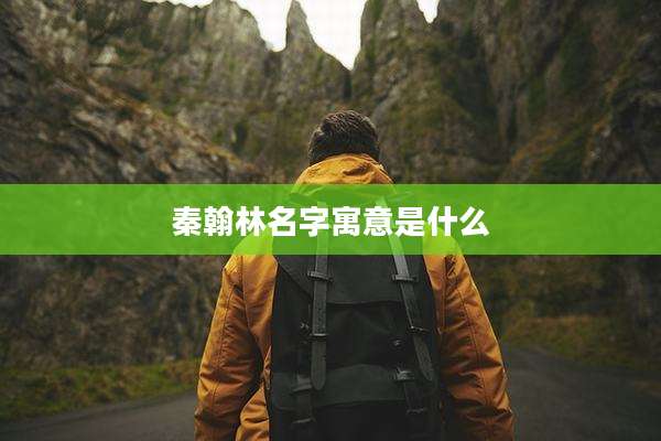 秦翰林名字寓意是什么